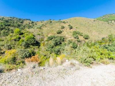 Acheter Terrain Canillas-de-albaida rgion MALAGA