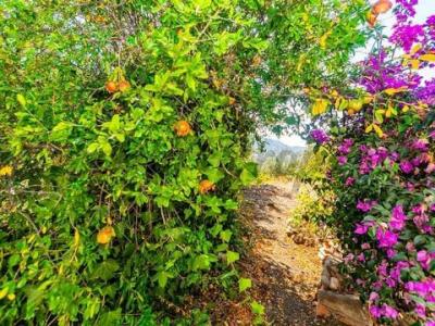 Vente Appartement Arenas  MA en Espagne