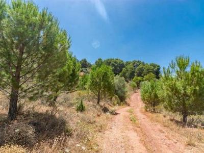 Vente Terrain Ardales  MA en Espagne