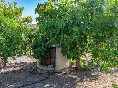 Acheter Maison Ardales rgion MALAGA