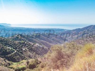 Annonce Vente Terrain Torrox