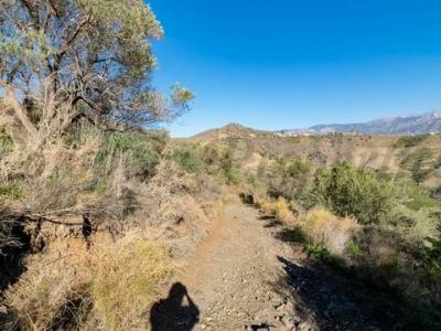 Acheter Terrain Torrox rgion MALAGA