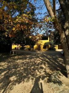 Acheter Maison Palafrugell rgion GIRONA