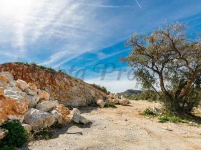 Acheter Terrain Canillas-de-albaida