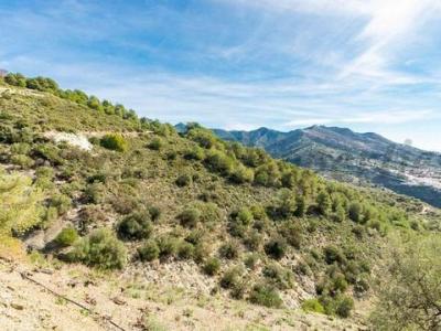 Acheter Terrain Canillas-de-albaida rgion MALAGA