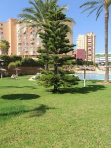 Acheter Appartement Benicolada rgion ALICANTE