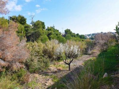 Annonce Vente Terrain Benissa