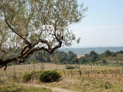 Acheter Maison Garriguella