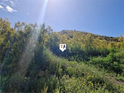 Vente Maison Algarrobo  MA en Espagne