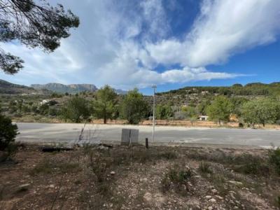 Annonce Vente Terrain Calpe