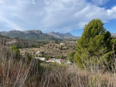 Acheter Terrain 1000 m2 Calpe