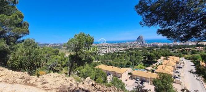 Annonce Vente Terrain Calpe