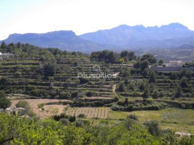 Acheter Terrain 15000 m2 Benissa