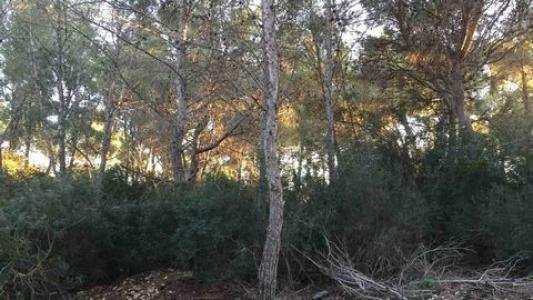 Vente Terrain Sol-de-mallorca  PM en Espagne