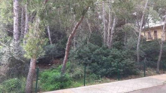 Annonce Vente Terrain Sol-de-mallorca