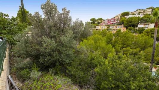 Annonce Vente Terrain Costa-de-la-calma