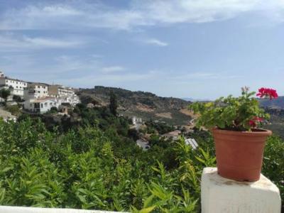 Vente Terrain Casarabonela  MA en Espagne