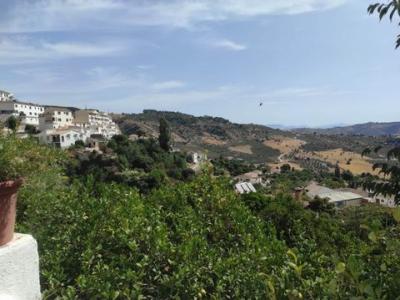 Annonce Vente Terrain Casarabonela