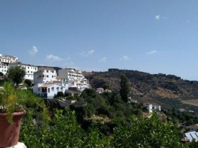 Acheter Terrain Casarabonela rgion MALAGA