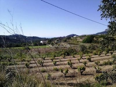 Acheter Maison Estepona