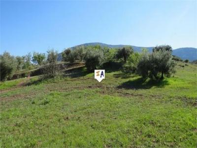 Annonce Vente Terrain Las-casillas