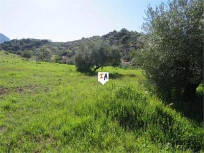 Acheter Terrain 3600 m2 Las-casillas