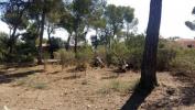 Acheter Terrain 1100 m2 Calvia