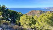 Annonce Vente Terrain La-herradura