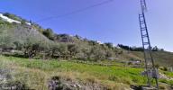 Annonce Vente Terrain Frigiliana