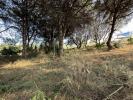 Acheter Terrain 2940 m2 San-roque