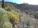 Acheter Terrain Competa rgion MALAGA