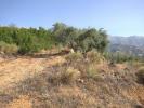 Vente Terrain Sedella 29715