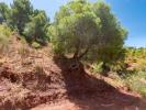 Acheter Terrain Ardales rgion MALAGA