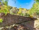 Annonce Vente Terrain Canillas-de-albaida