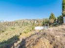 Vente Terrain Torrox 29770