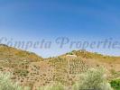 Vente Terrain Canillas-de-albaida 29755