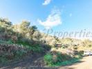 Annonce Vente Terrain Torrox