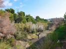 Acheter Terrain 798 m2 Benissa