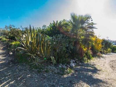 Annonce Vente Terrain Torrox-park