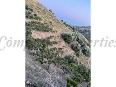 Annonce Vente Terrain Frigiliana