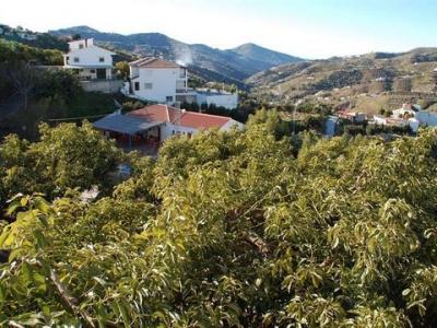 Annonce Vente Terrain Canillas-de-albaida