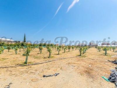 Vente Terrain Algarrobo  MA en Espagne