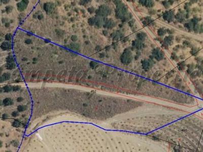 Vente Terrain Sayalonga  MA en Espagne
