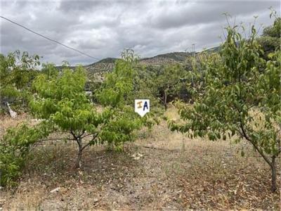 Acheter Maison Fuensanta-de-martos rgion JAEN