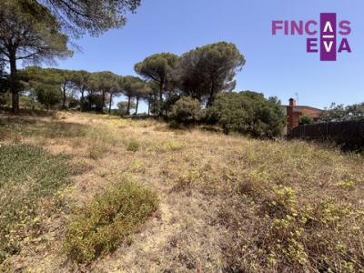 Annonce Vente Maison Vallromanes