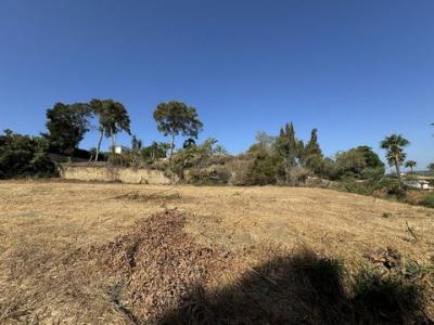 Acheter Terrain 1285 m2 San-roque