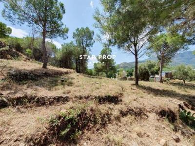 Vente Terrain El-port-de-la-selva  GI en Espagne