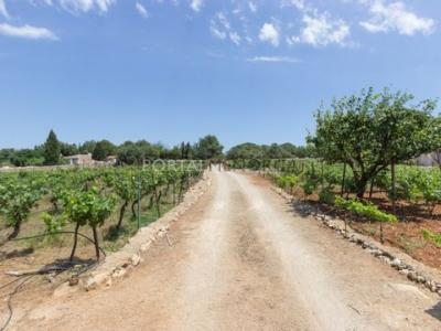 Annonce Vente Maison Sant-lluis