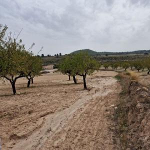 Vente Terrain Moratalla  CO en Espagne