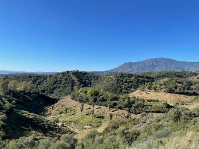 Acheter Terrain 575 m2 Estepona